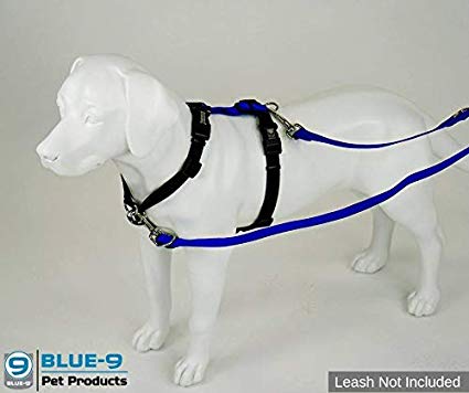 Blue 9 Balance Harness ( Buckle neck )